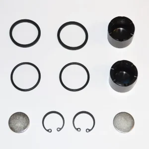 KIT REVISION PINZA AP06 TRASERO